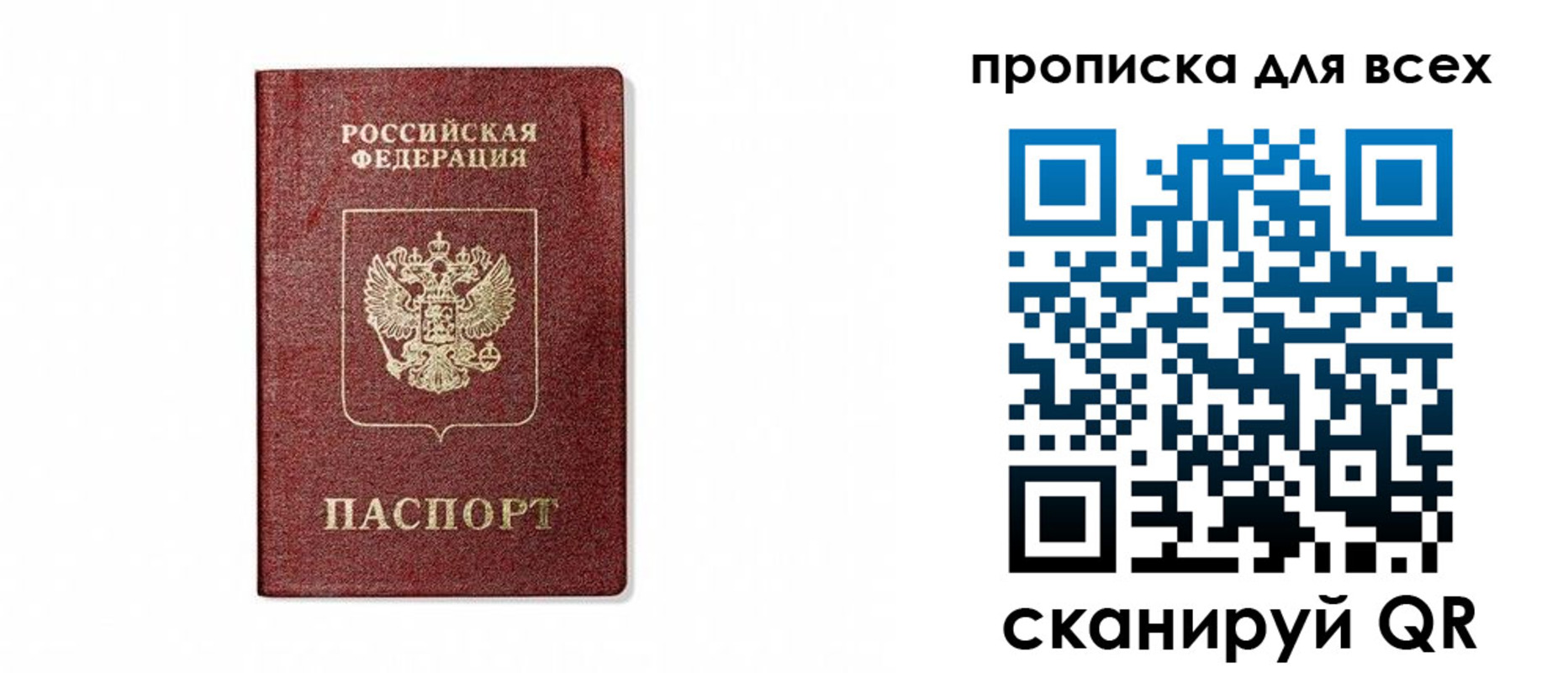 прописка поиск в Сафоново